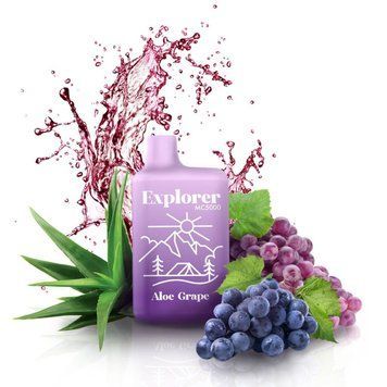 Explorer MC5000 650 мАг 5% смак Aloe Grape