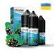 Chaser Pods Plus Salt 10 мл 60 мг Ментол Смородина